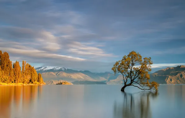 Autumn, trees, mountains, lake, New Zealand, pond, Wanaka