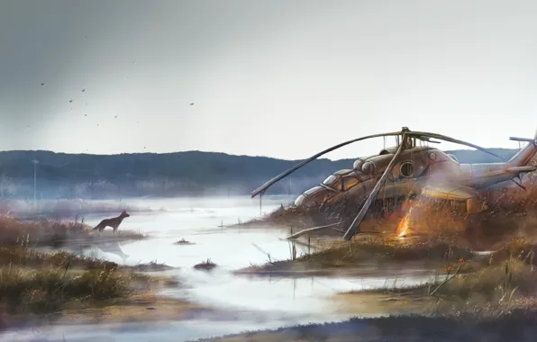 Swamp, dog, helicopter, pustosh