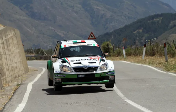 Picture Road, White, Asphalt, Rally, The front, Skoda, Fabia, Umberto
