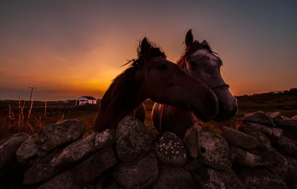 The sky, sunset, nature, house, stones, horses, the evening, horse
