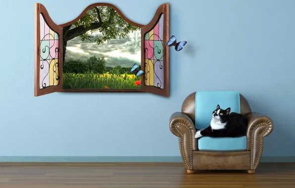 Picture cat, summer, butterfly, tale, window, watch