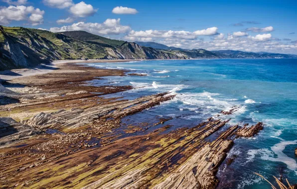 Picture sea, rocks, shore