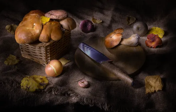 Mushrooms, bow, knife, still life, network, different, burlap, autumn leaves