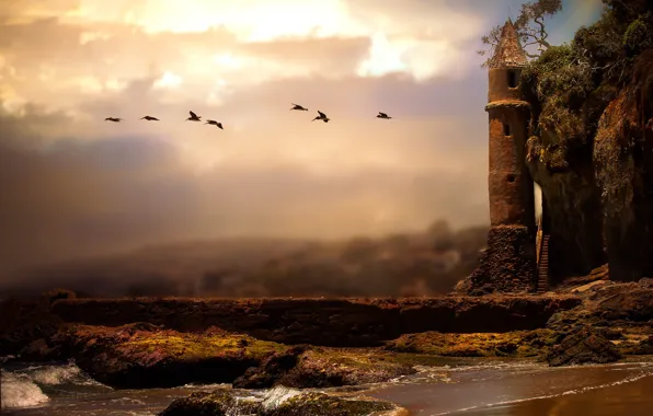 Sea, birds, castle, rocks, shore, tower, pack, pelicans