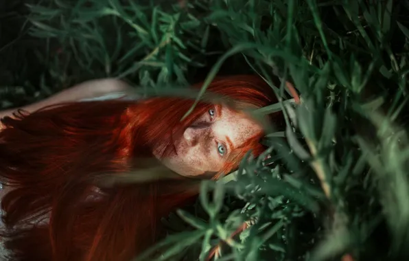 Grass, girl, face, mood, freckles, red, redhead, long hair