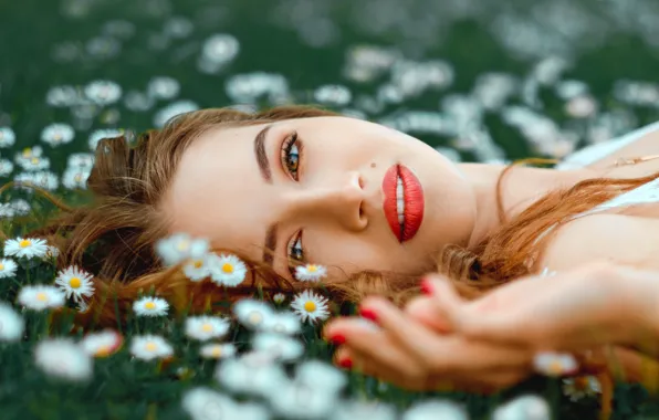 Picture look, girl, flowers, face, mood, lipstick, meadow, Daisy