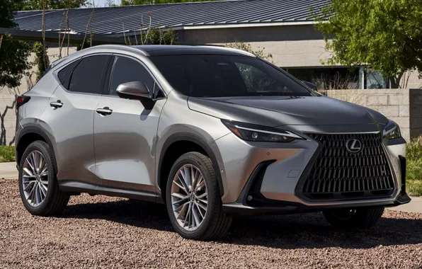 Picture luxury, SUV, structure, exterior, Lexus NX, 2022, Lexus NX Hybrid, silver metallic