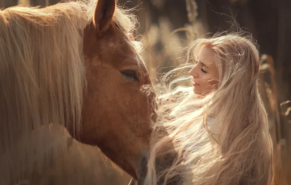 Picture face, girl, face, mood, horse, horse, mane, long hair