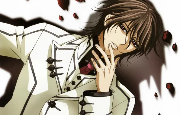 Shadow, petals, vampire, form, art, kaname kuran, vampire knight, matsuri hino
