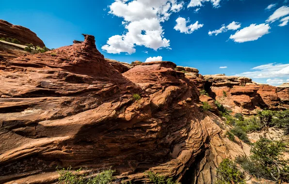 Picture nature, rocks, national Park, Utah, Canyonlands National Park, Chester Park