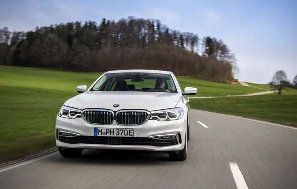 Road, field, white, BMW, sedan, front, hybrid, 5