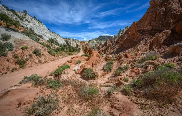 Road, Utah, USA, State reserve Grand Staircase-the Escalante