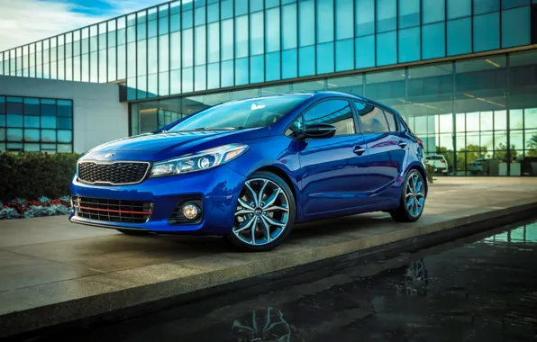 Blue, Kia, 2016, Forte5