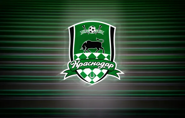 Sport, Logo, Background, Bull, Logo, Russia, Football club, Bulls