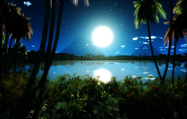The sky, grass, water, clouds, lake, reflection, palm trees, thickets