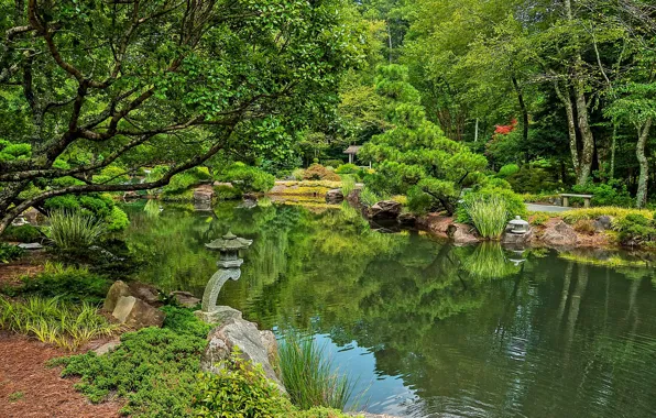 Trees, nature, Park, river, photo, USA, Ball Ground, Gibbs Gardens