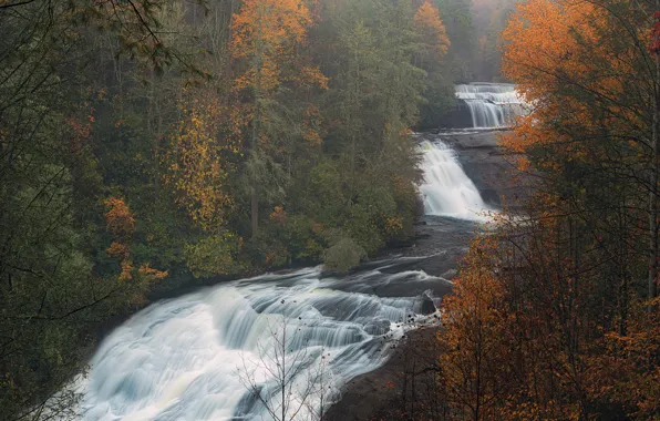 Forest, rocks, shore, waterfall, stream