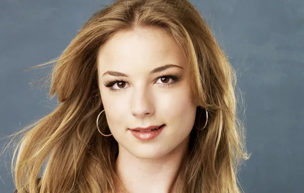 Picture look, pose, makeup, actress, hair, Emily VanCamp, Emily Vancamp