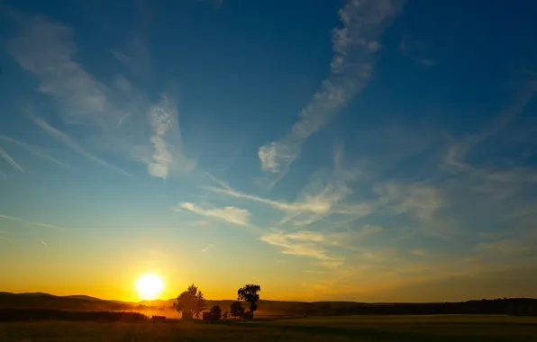 Field, the sky, the sun, trees, sunset, sunrise