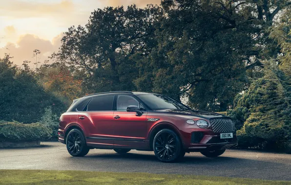 Road, machine, nature, Bentley, red, Bentley Bentayga