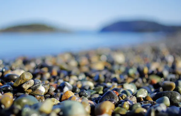 Beach, macro, pebbles, stones, photo, shore, wallpapers
