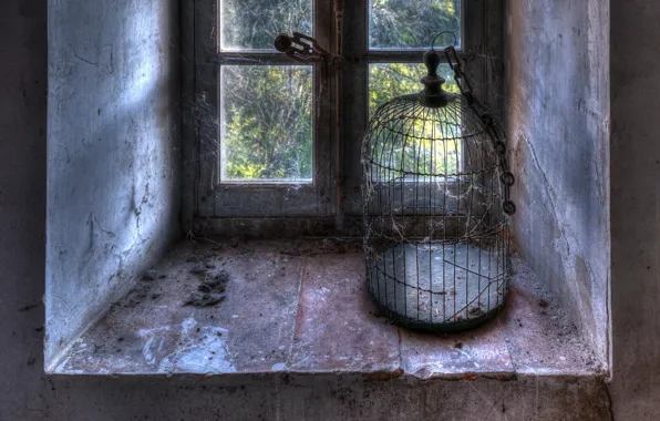 Freedom, cell, window, naturalism