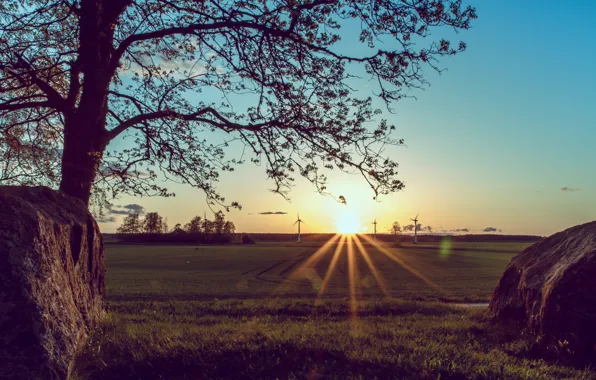 Grass, the sun, sunset, house, stones, tree, house, grass