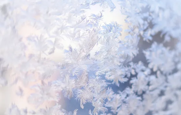 Pattern, Winter, frost, drawing on glass