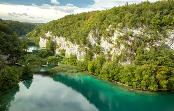 Forest, bridge, rock, river, Croatia, Plitvice lakes