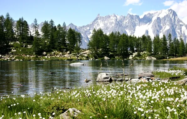 Photo, Nature, Mountains, Lake, Trees, Italy, Arpy lake