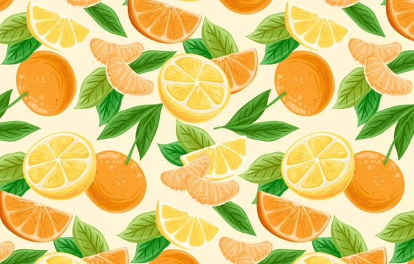 Leaves, vector, texture, citrus, different, slices, cuts, repetition