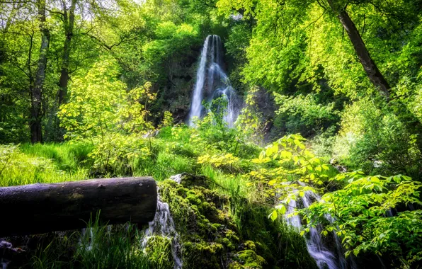 Picture greens, forest, summer, foliage, waterfall, stream, log