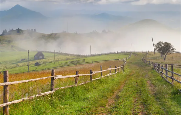 Nature, hills, home, fence