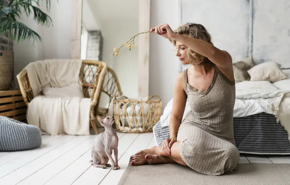 Cat, cat, girl, pose, sprig, grey, room, woman