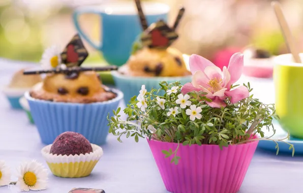 Flowers, cupcakes, molds, muffins