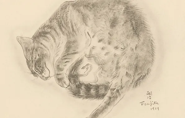 Cat, sleeping, fluffy, 1929, ulybaetsya, Tsuguharu, Fujita, The Book Of Cats