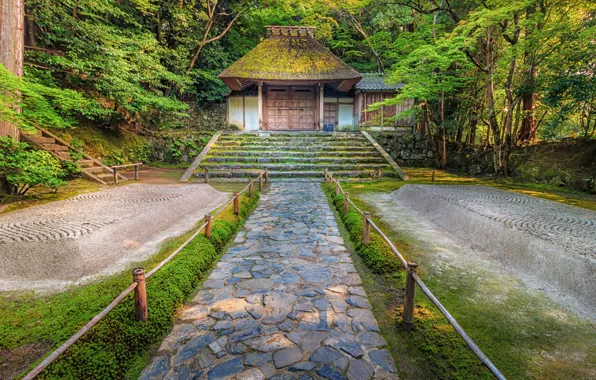 Picture greens, trees, Park, Japan, Kyoto