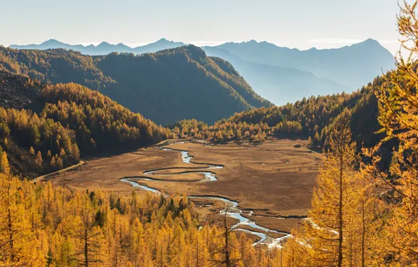 Picture autumn, forest, the sky, the sun, trees, mountains, river, valley