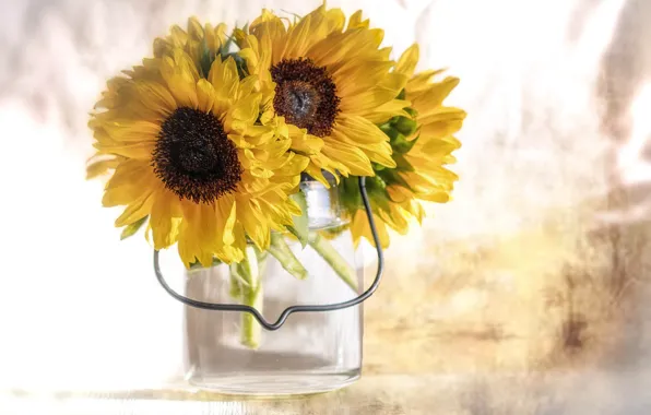 Picture flowers, sunflower, petals, flowering, flowers, petals, sunflower, bloom