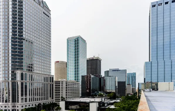 The city, blue, the building, skyscraper, FL, USA, USA, blue