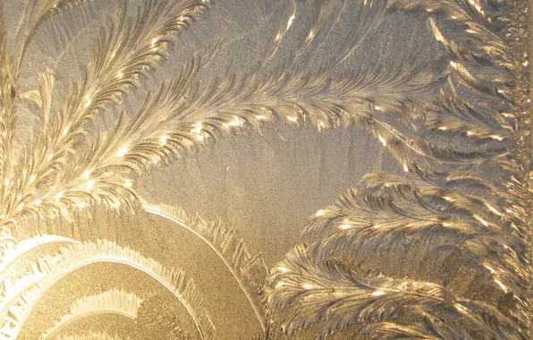 Picture cold, ice, pattern, frozen water