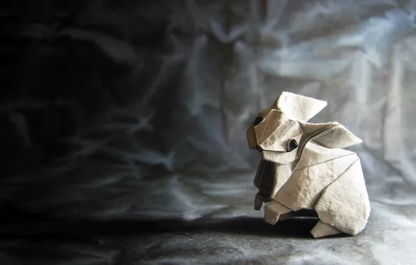 Picture paper, hare, origami