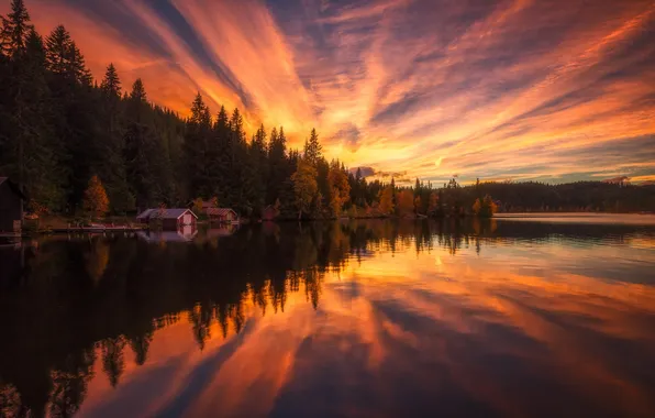 Picture forest, sunset, lake, house