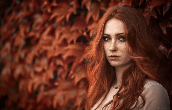 Look, face, hair, portrait, freckles, red, redhead, bokeh