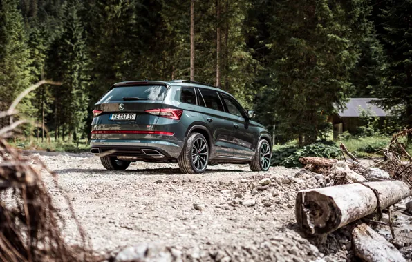 Rear view, crossover, ABBOT, Skoda, Kodiaq, 2019, Kodiaq RS