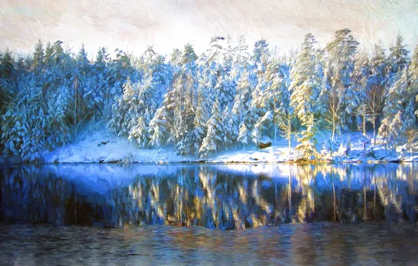 Winter, frost, forest, water, light, snow, trees, nature