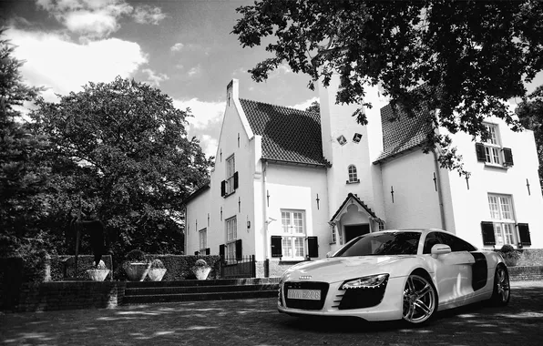 Picture the sky, trees, Audi, the building, car, supercar, wallpapers, car Wallpaper