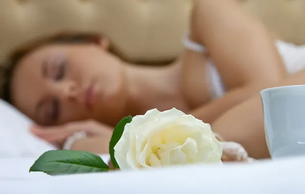 Picture girl, sleep, brown hair, Cup. flower