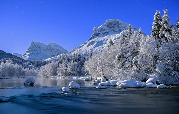 Picture winter, nature, river