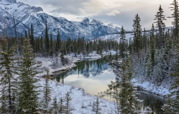 Winter, forest, trees, mountains, lake, Canada, Albert, Alberta